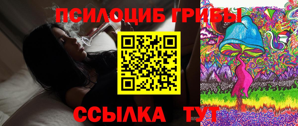 Черногорск  Галлюциногенные грибы GOLDEN TEACHER  даркнет сайт  Вход с VPN 